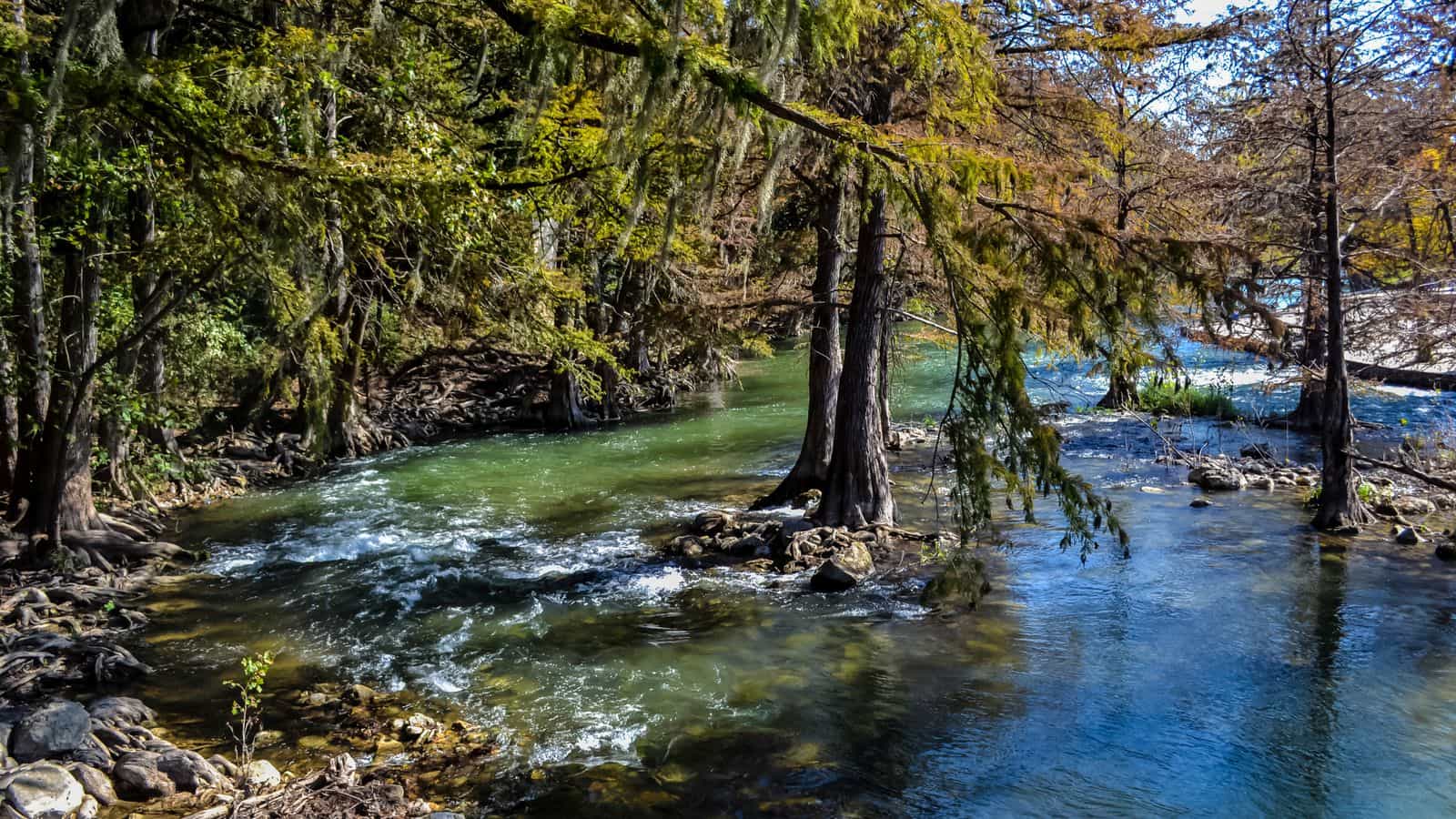 The Guadalupe River winding through Central Texas Hill Country cypress trees