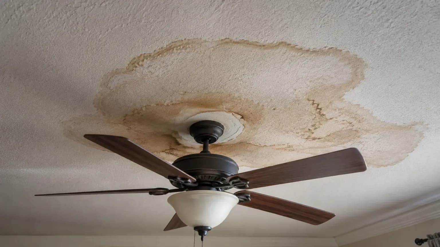 A spreading brown water stain with a darker ring on a white textured ceiling in a Texas home