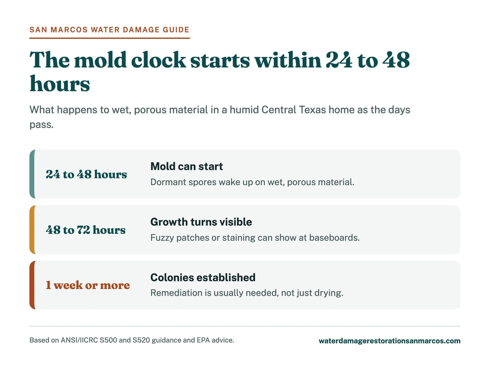 Timeline ladder showing how fast mold grows after water damage, from 24 hours to one week