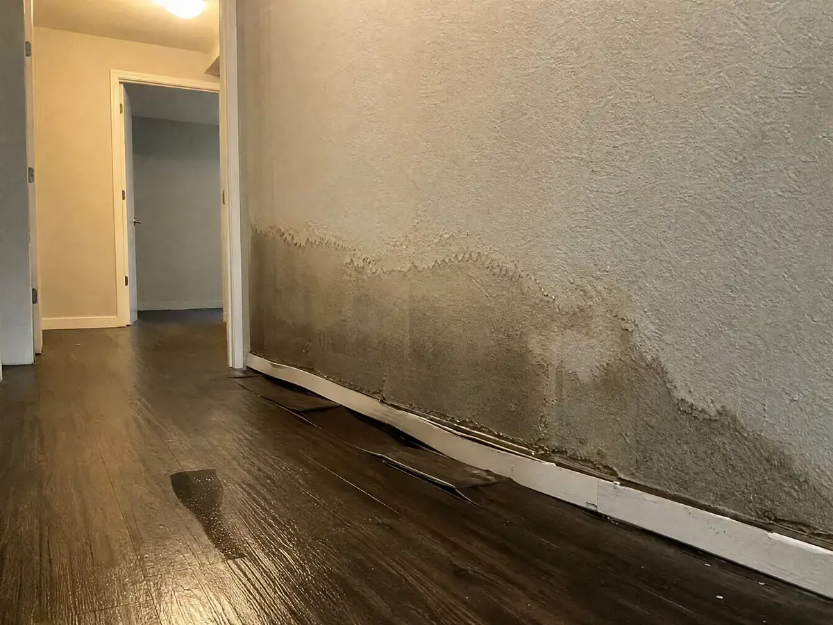 Hallway wall with a large dark damp patch spreading up from the baseboard, bubbling paint and cupped laminate flooring lifting at the seams.