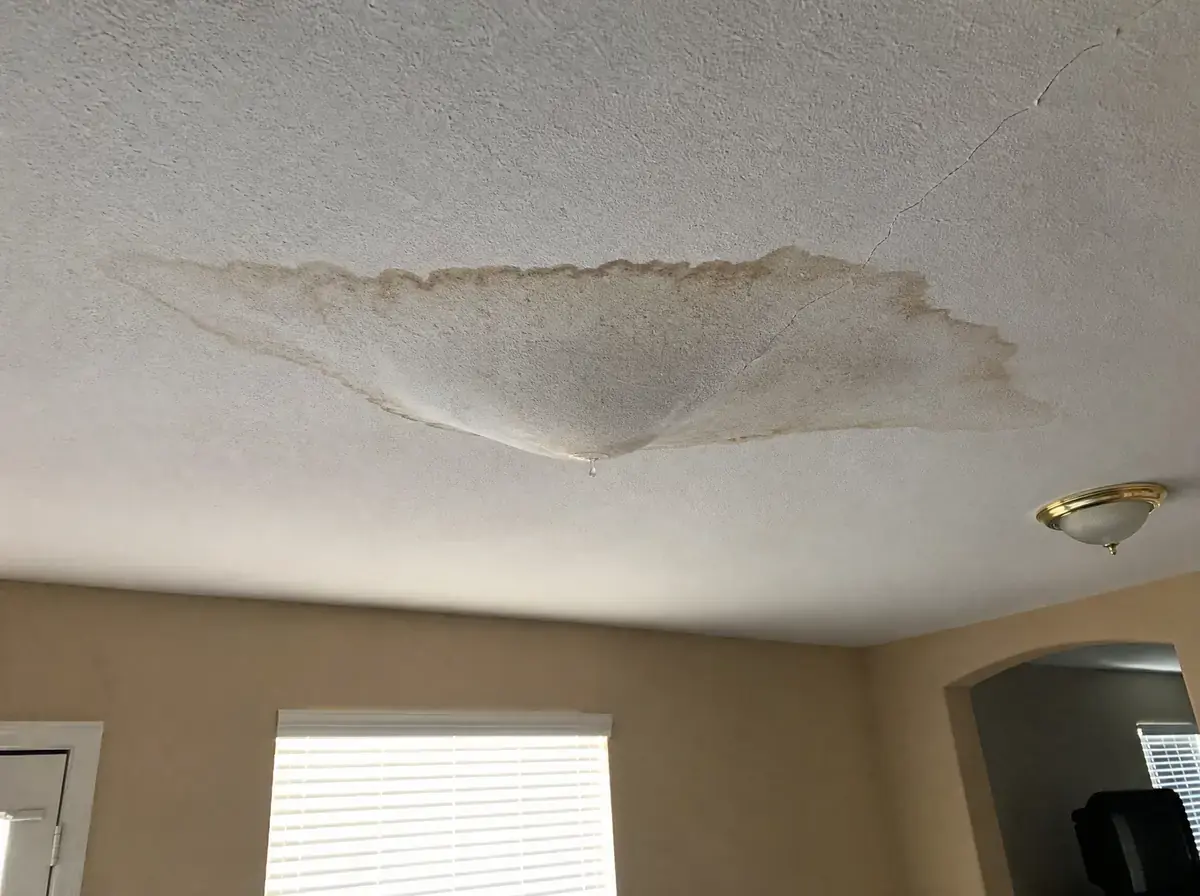 Living room ceiling with a large brown water stain and dark ring, the drywall visibly sagging and a bead of water hanging at the lowest point.