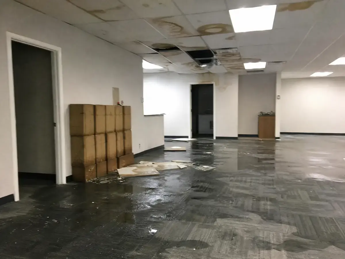 Small commercial suite with saturated grey carpet tiles and pooling water, stained ceiling tiles above and a stack of boxes wicking water at the base.