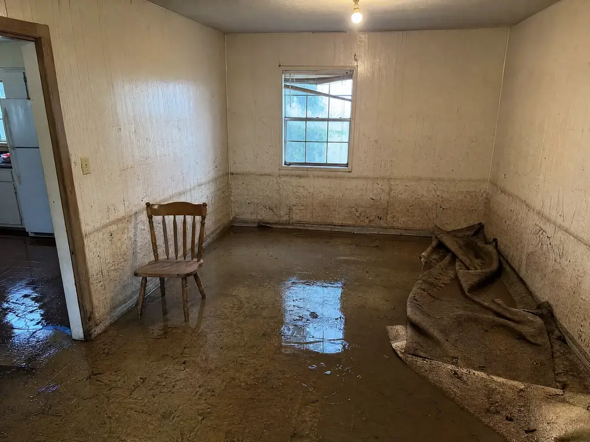 Back room of an older riverside home with shallow muddy water on worn vinyl, a silt line on the panelled wall and a soaked rug bunched against it.